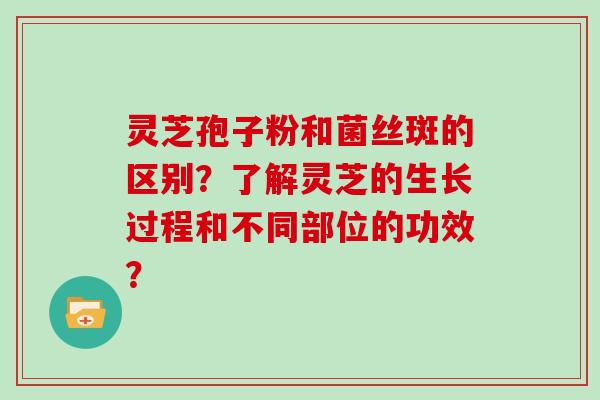 灵芝孢子粉和菌丝斑的区别？了解灵芝的生长过程和不同部位的功效？