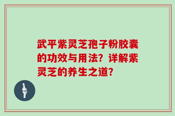武平紫灵芝孢子粉胶囊的功效与用法？详解紫灵芝的养生之道？