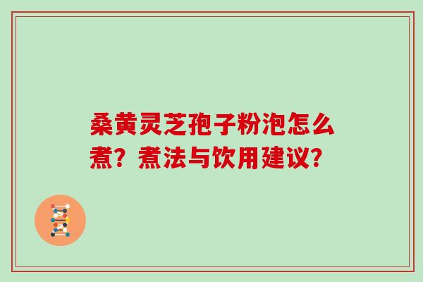桑黄灵芝孢子粉泡怎么煮？煮法与饮用建议？