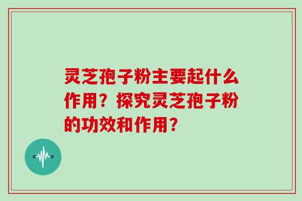 灵芝孢子粉主要起什么作用？探究灵芝孢子粉的功效和作用？