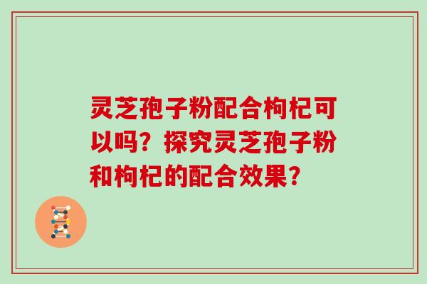 灵芝孢子粉配合枸杞可以吗?探究灵芝孢子粉和枸杞的配合效果?-第1张图片-灵芝大师 灵芝孢子粉配合枸杞可以吗?探究灵芝孢子粉和枸杞的配合效果?-第1张图片-灵芝大师