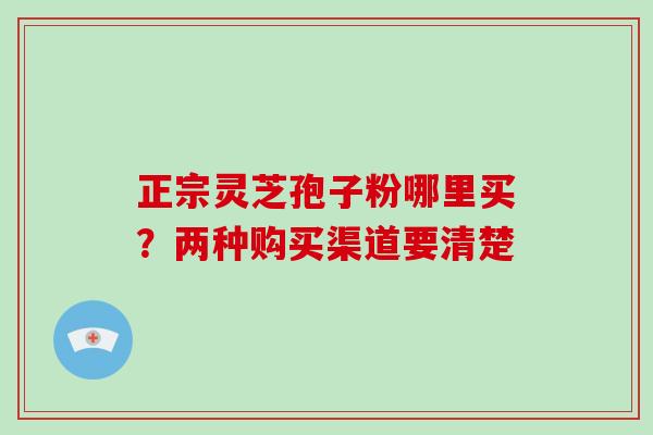 正宗灵芝孢子粉哪里买？两种购买渠道要清楚