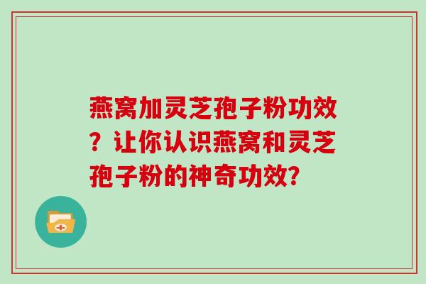 燕窝加灵芝孢子粉功效？让你认识燕窝和灵芝孢子粉的神奇功效？