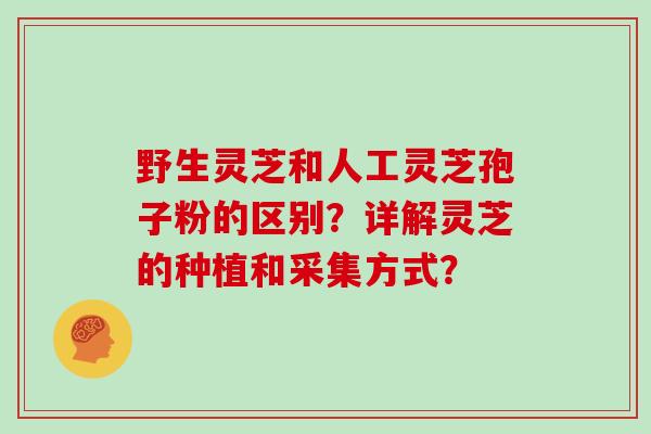 野生灵芝和人工灵芝孢子粉的区别？详解灵芝的种植和采集方式？