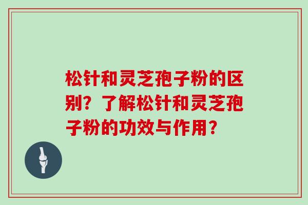 松针和灵芝孢子粉的区别？了解松针和灵芝孢子粉的功效与作用？