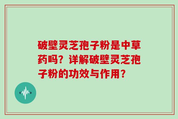破壁灵芝孢子粉是中草药吗？详解破壁灵芝孢子粉的功效与作用？