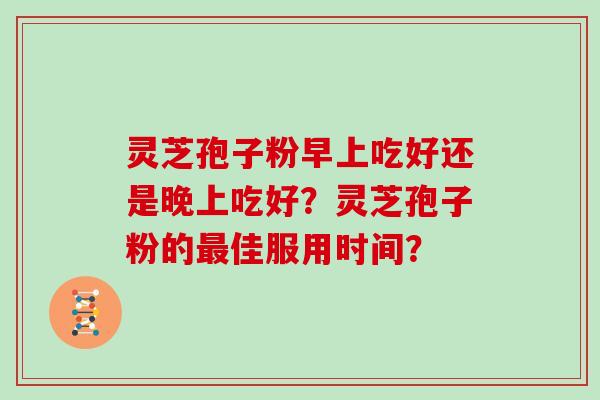 灵芝孢子粉早上吃好还是晚上吃好？灵芝孢子粉的最佳服用时间？