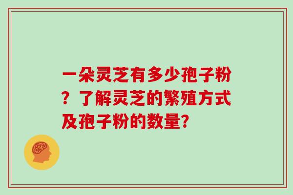 一朵灵芝有多少孢子粉？了解灵芝的繁殖方式及孢子粉的数量？