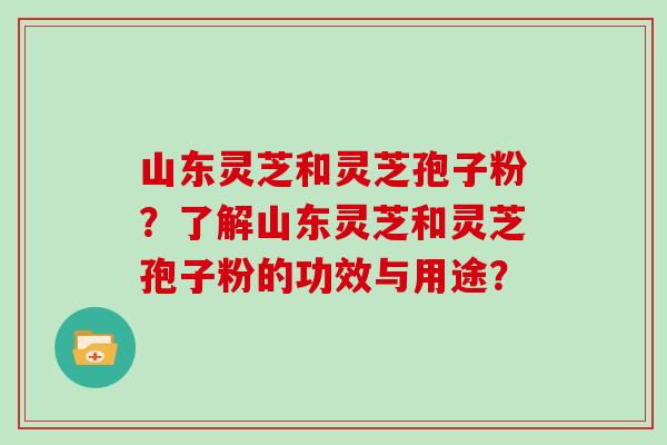 山东灵芝和灵芝孢子粉？了解山东灵芝和灵芝孢子粉的功效与用途？