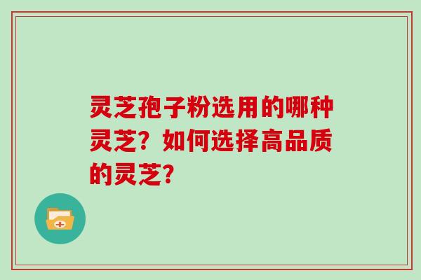 灵芝孢子粉选用的哪种灵芝？如何选择高品质的灵芝？