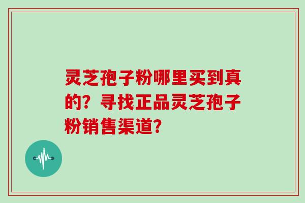 灵芝孢子粉哪里买到真的？寻找正品灵芝孢子粉销售渠道？