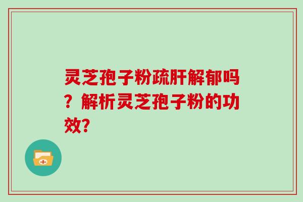 灵芝孢子粉疏肝解郁吗?解析灵芝孢子粉的功效?-第1张图片-灵芝大师 灵芝孢子粉疏肝解郁吗?解析灵芝孢子粉的功效?-第1张图片-灵芝大师