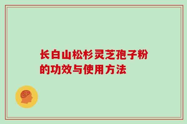 长白山松杉灵芝孢子粉的功效与使用方法