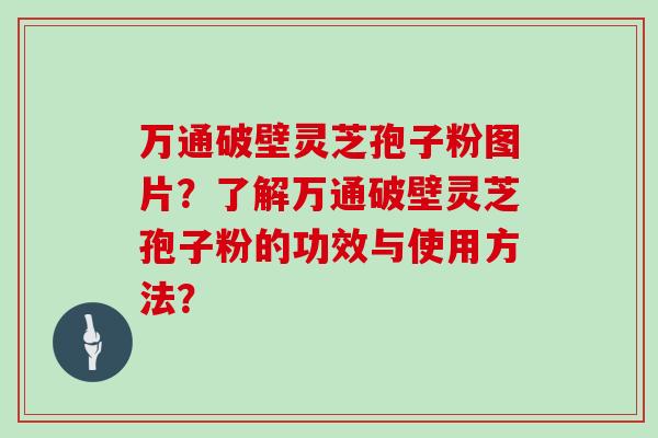 万通破壁灵芝孢子粉图片？了解万通破壁灵芝孢子粉的功效与使用方法？