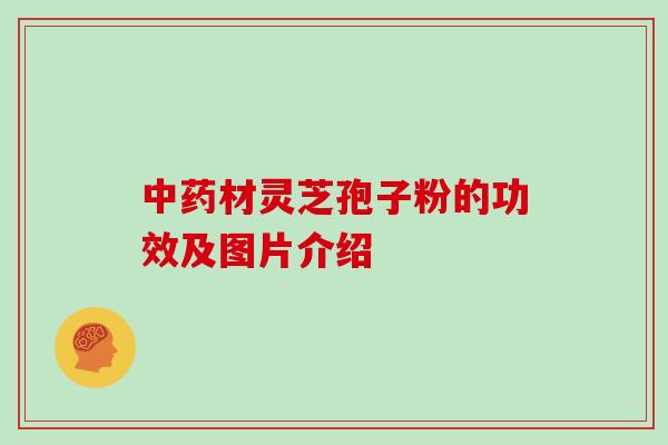 中药材灵芝孢子粉的功效及图片介绍