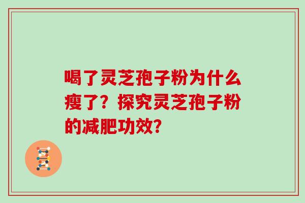 喝了灵芝孢子粉为什么瘦了？探究灵芝孢子粉的减肥功效？