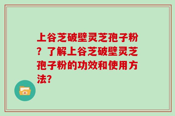 上谷芝破壁灵芝孢子粉？了解上谷芝破壁灵芝孢子粉的功效和使用方法？