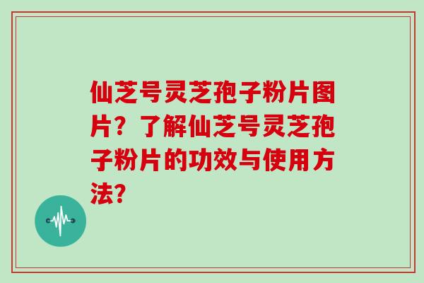 仙芝号灵芝孢子粉片图片？了解仙芝号灵芝孢子粉片的功效与使用方法？