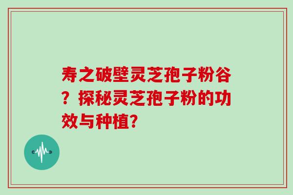 寿之破壁灵芝孢子粉谷？探秘灵芝孢子粉的功效与种植？