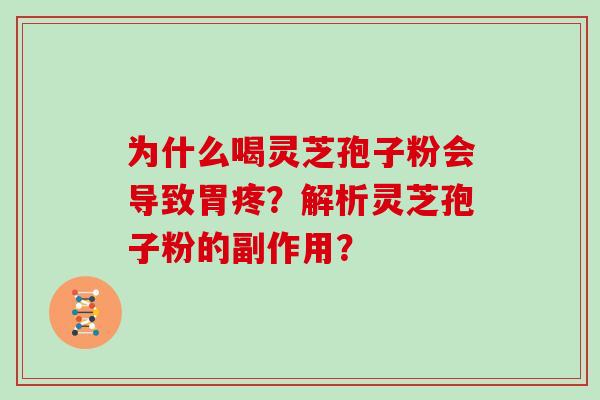 为什么喝灵芝孢子粉会导致胃疼？解析灵芝孢子粉的副作用？