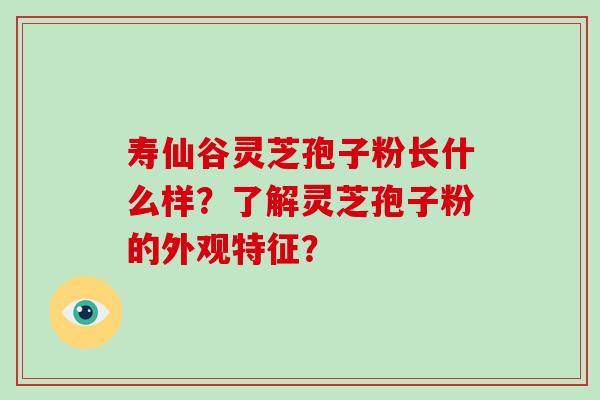 寿仙谷灵芝孢子粉长什么样？了解灵芝孢子粉的外观特征？