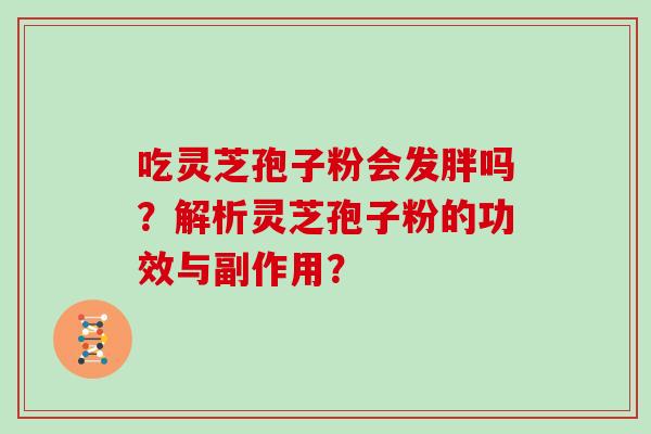 吃灵芝孢子粉会发胖吗？解析灵芝孢子粉的功效与副作用？