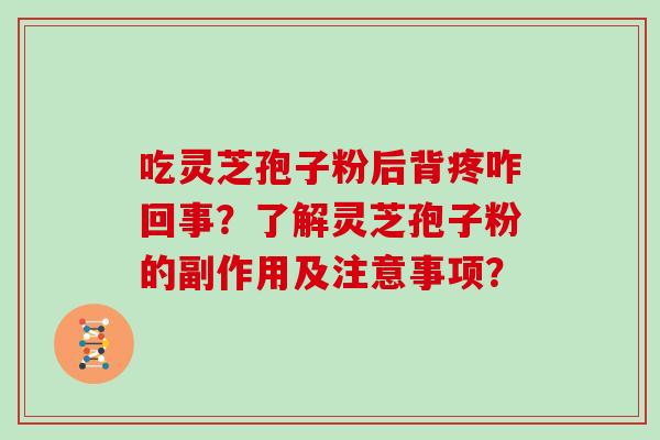 吃灵芝孢子粉后背疼咋回事？了解灵芝孢子粉的副作用及注意事项？