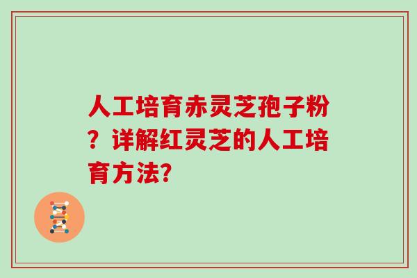 人工培育赤灵芝孢子粉?详解红灵芝的人工培育方法?-第1张图片-灵芝大师 人工培育赤灵芝孢子粉?详解红灵芝的人工培育方法?-第1张图片-灵芝大师