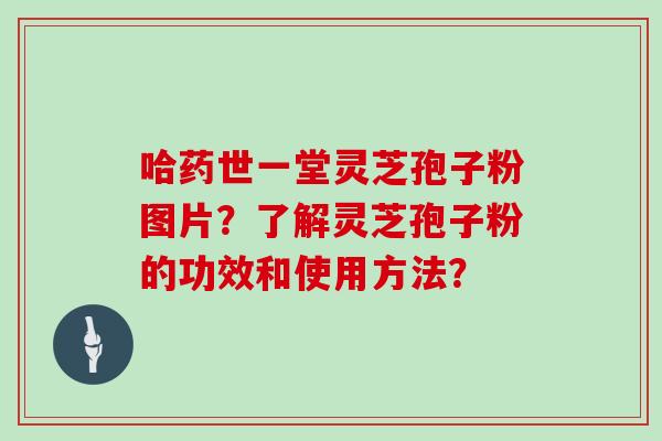 哈药世一堂灵芝孢子粉图片？了解灵芝孢子粉的功效和使用方法？
