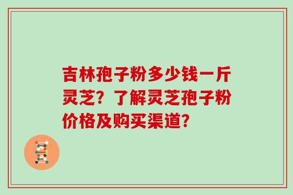 吉林孢子粉多少钱一斤灵芝？了解灵芝孢子粉价格及购买渠道？