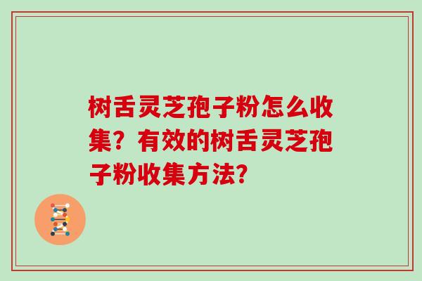 树舌灵芝孢子粉怎么收集？有效的树舌灵芝孢子粉收集方法？