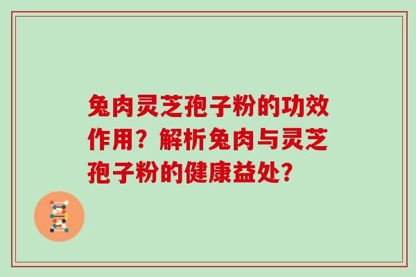 兔肉灵芝孢子粉的功效作用？解析兔肉与灵芝孢子粉的健康益处？