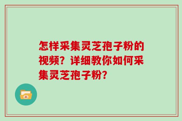 怎样采集灵芝孢子粉的视频？详细教你如何采集灵芝孢子粉？