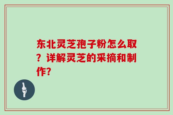 东北灵芝孢子粉怎么取？详解灵芝的采摘和制作？