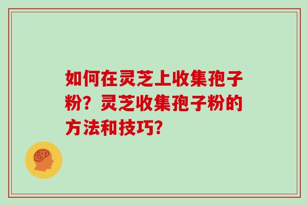 如何在灵芝上收集孢子粉？灵芝收集孢子粉的方法和技巧？