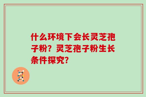 什么环境下会长灵芝孢子粉？灵芝孢子粉生长条件探究？