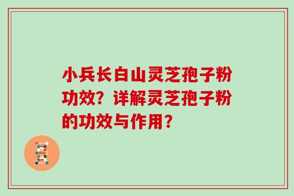 小兵长白山灵芝孢子粉功效？详解灵芝孢子粉的功效与作用？