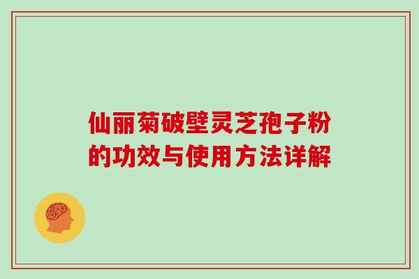 仙丽菊破壁灵芝孢子粉的功效与使用方法详解