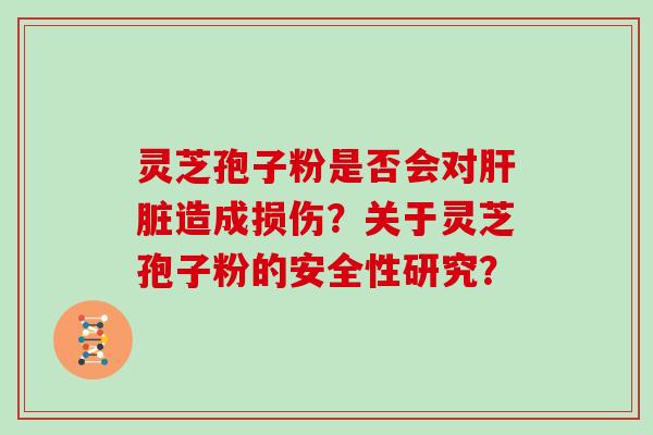 灵芝孢子粉是否会对肝脏造成损伤？关于灵芝孢子粉的安全性研究？