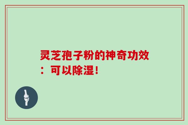 灵芝孢子粉的神奇功效：可以除湿！