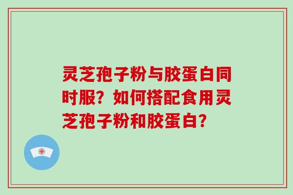 灵芝孢子粉与胶蛋白同时服？如何搭配食用灵芝孢子粉和胶蛋白？