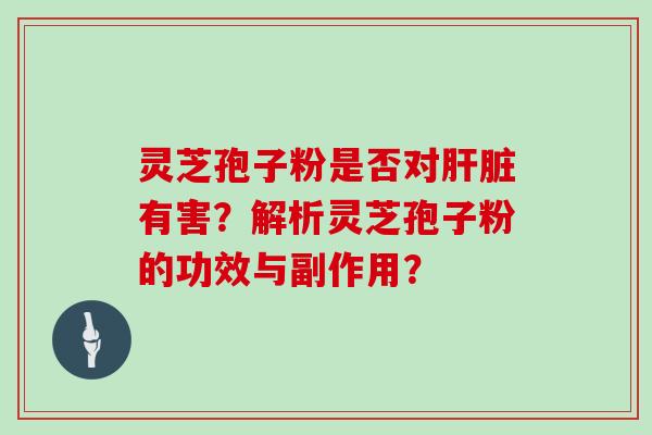 灵芝孢子粉是否对肝脏有害？解析灵芝孢子粉的功效与副作用？