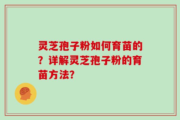 灵芝孢子粉如何育苗的？详解灵芝孢子粉的育苗方法？