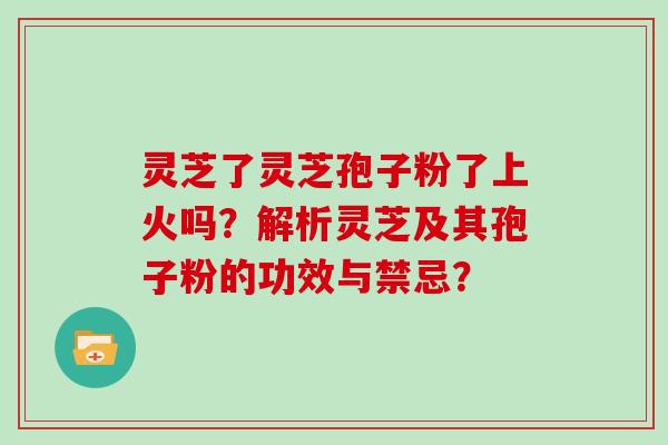 灵芝了灵芝孢子粉了上火吗？解析灵芝及其孢子粉的功效与禁忌？