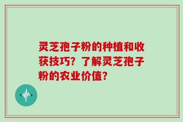 灵芝孢子粉的种植和收获技巧？了解灵芝孢子粉的农业价值？