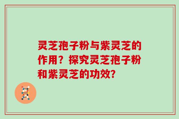 灵芝孢子粉与紫灵芝的作用?探究灵芝孢子粉和紫灵芝的功效?-第1张图片-灵芝大师 灵芝孢子粉与紫灵芝的作用?探究灵芝孢子粉和紫灵芝的功效?-第1张图片-灵芝大师