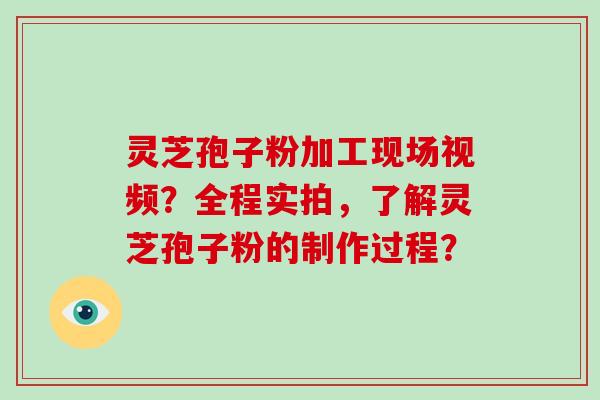 灵芝孢子粉加工现场视频？全程实拍，了解灵芝孢子粉的制作过程？