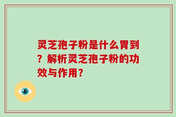 灵芝孢子粉是什么胃到？解析灵芝孢子粉的功效与作用？