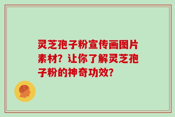 灵芝孢子粉宣传画图片素材？让你了解灵芝孢子粉的神奇功效？