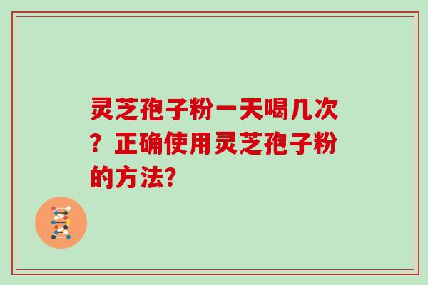 灵芝孢子粉一天喝几次？正确使用灵芝孢子粉的方法？